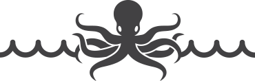 octopus_top