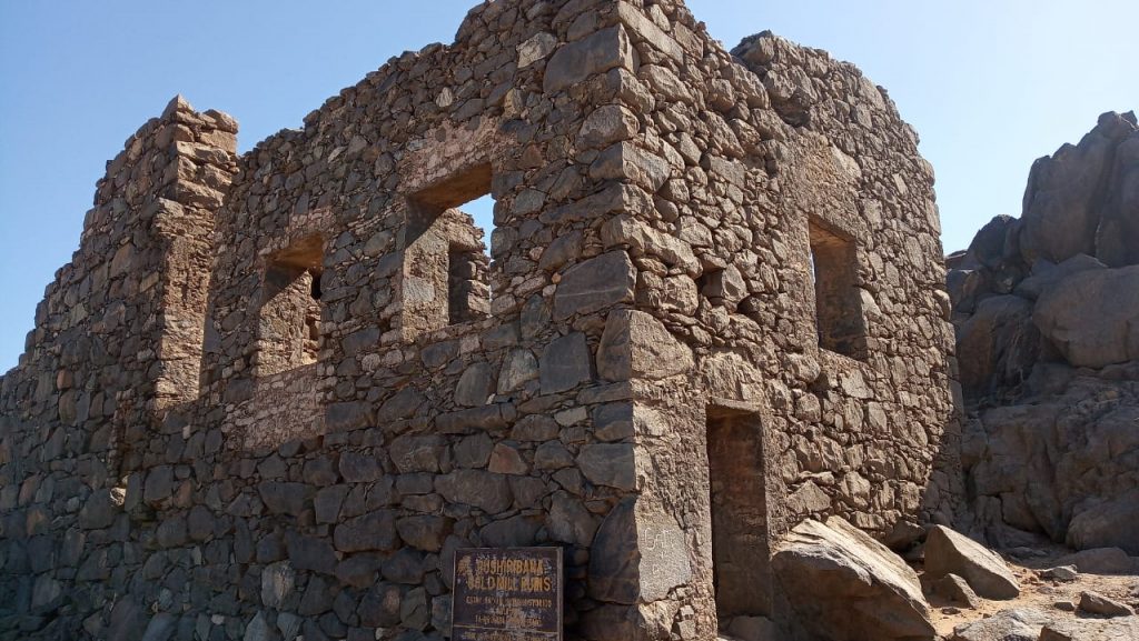 Octopus Aruba UTV Island Gold Mill Ruins UTV Aruba