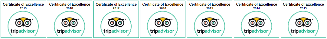 Octopus Aruba tripadvisor