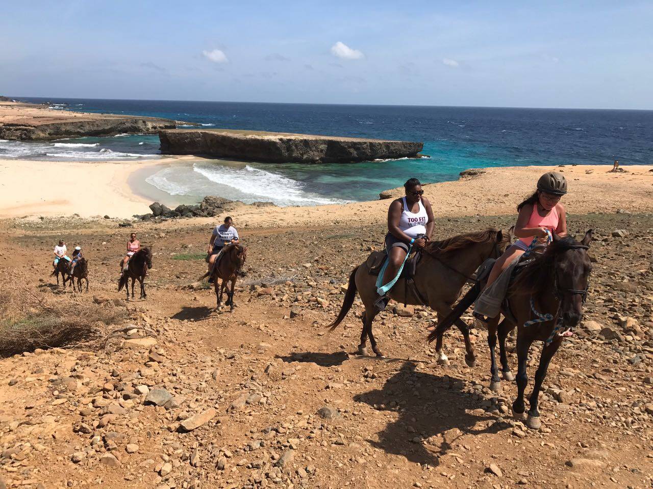 Aruba Horses
