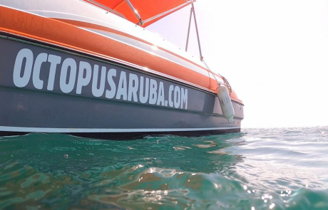 Octopus Aruba Private Boat